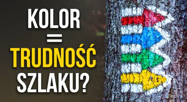 Kolorowe strzałki szlaku turystycznego namalowane na korze drzewa.
