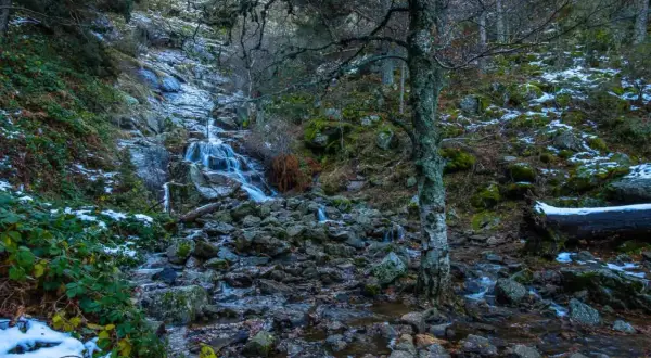 Cascada en el **puerto de Canencia**, con nieve y rocas cubriendo el cauce. Un árbol solitario vigila el paisaje.