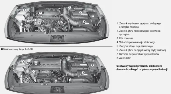Pod maską Hyundai i30 1.4 benzyna: zbiornik płynu chłodzącego (1), hamulcowego (2), filtr powietrza (3), wskaźnik oleju (4), wlew oleju (5), zbiornik spryskiwaczy (6), skrzynka bezpieczników (7), akumulator (8).