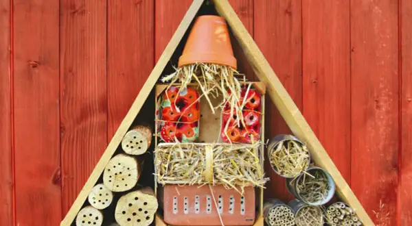Ein selbstgebautes Insektenhotel aus Holz, Stroh und verschiedenen Materialien bietet Unterschlupf für nützliche Tiere.