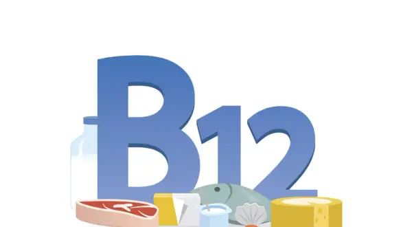 La vitamina B12, essenziale per i valori ottimali, è presente in carne, pesce, latticini e uova.