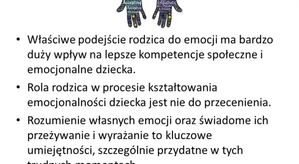 Dyżury pedagoga szkolnego: prawo, praktyka i efektywność wsparcia
