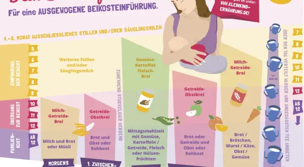 Dein Beikostplan zeigt, wie Babys ab dem 4.-6. Monat schrittweise an feste Nahrung gewöhnt werden.