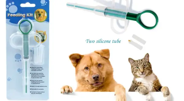 Cómo dar pastillas a un gato sin estrés: métodos efectivos y sencillos