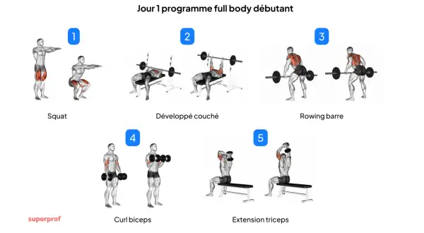Programme de musculation au poids du corps pour débutants : squats, développé couché, rowing barre, curl biceps, extension triceps.