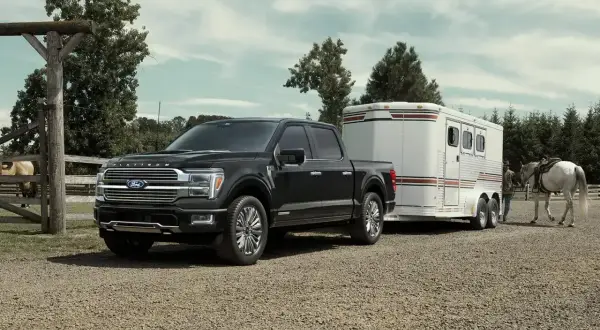 Czarny Ford F-150 Platinum holuje przyczepę z koniem na farmie.