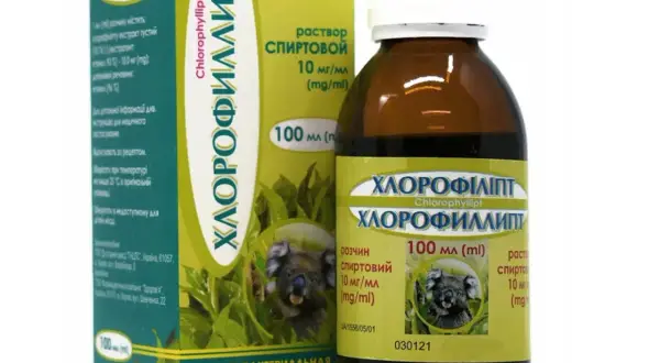 Chlorofillipt jak stosować do inhalacji - skuteczne metody i dawkowanie
