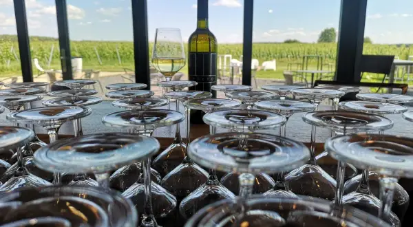Szklanki czekają na degustację w winnicy Preto. W tle rozciągają się zielone winorośle pod błękitnym niebem.