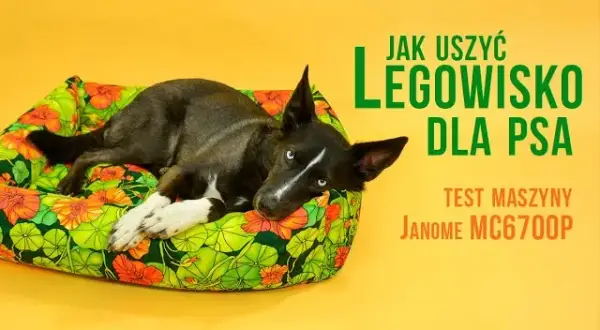 Wygodne legowisko dla psa bez szycia? 4 proste metody DIY!