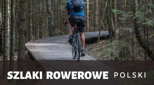 Rowerzysta przemierza drewniany szlak w lesie. Odkryj malownicze **trasy rowerowe Polska** i poczuj wolność na dwóch kółkach.