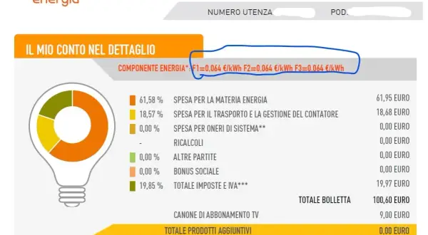 Dettaglio bolletta della luce Acea Energia: spesa materia energia, trasporto, oneri di sistema, imposte e IVA. Totale da pagare 109,60 euro.