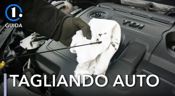 Guida per controllare l'olio motore: si può fare il tagliando da soli. La mano guantata pulisce l'astina dell'olio su un panno bianco.