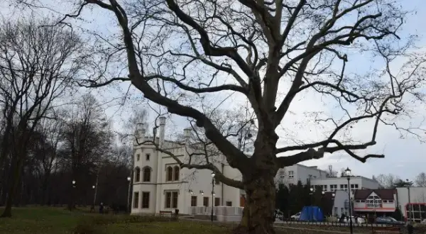Pałac w Miechowicach: niezwykła atrakcja Bytomia zaprasza na zwiedzanie