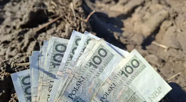 Stos banknotów po 100 zł leży na ziemi. Czy to zapowiedź przyszłej renty planistycznej?
