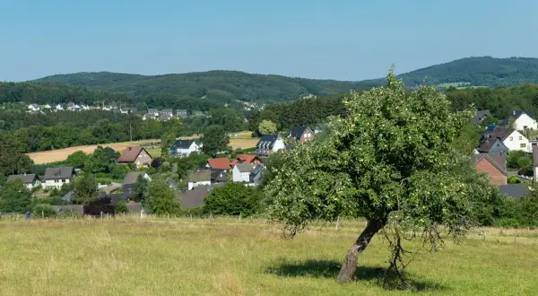 Grünes Tal mit Apfelbaum im Vordergrund, Häuser und Wälder im Hintergrund. Ein idyllischer Ort am Bierweg Bielstein.