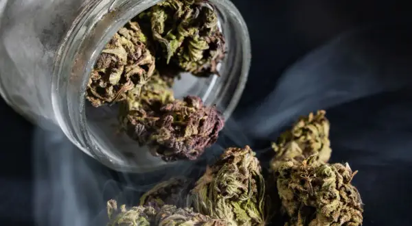 Marihuana: Prawda o uzależnieniu. Objawy, skutki, pomoc
