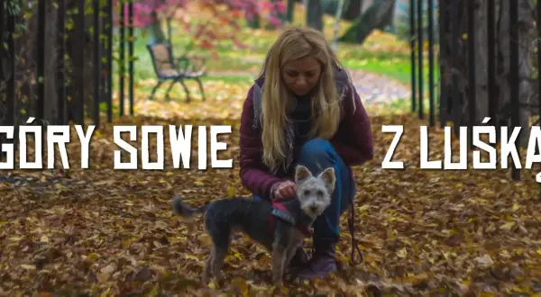 Jesień w Górach Sowich z psem. Kobieta w bordowej kurtce klęczy wśród opadłych liści, głaszcząc swojego małego, kudłatego pupila.