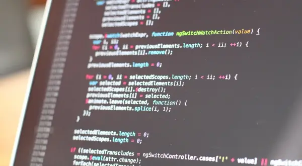 Kod źródłowy na ekranie, w tym fragmenty z `ngSwitchController`. Czy to kod, który wyjaśnia nginx co to?