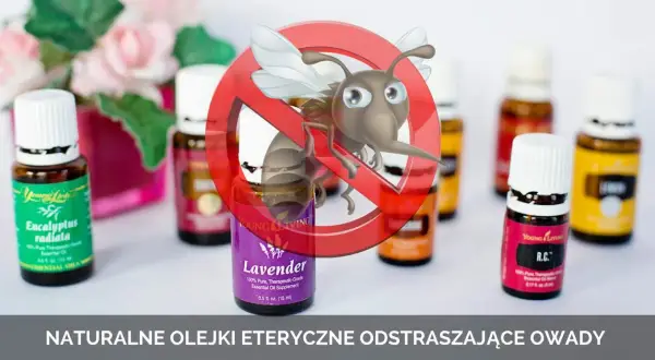 Najlepsze olejki na meszki, które skutecznie je odstraszą