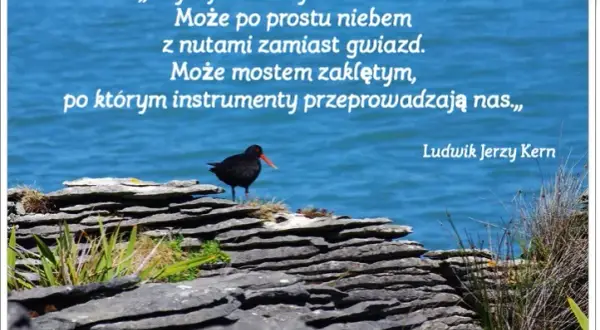 Muzyka w cytatach: Inspirujące słowa o dźwiękach duszy