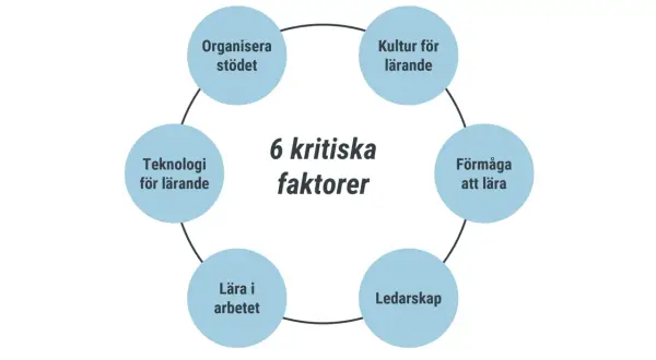Diagrammet visar 6 kritiska faktorer för lärande: Kultur, Förmåga att lära, Ledarskap, Lära i arbetet, Teknologi och Organisera stödet. Dessa är viktiga ledord exempel för framgångsrik utveckling.