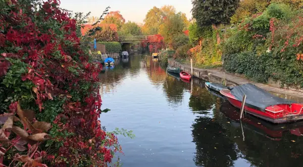 Herbstliche Idylle am Kanal in Berlin, fast wie neu Venedig. Boote liegen vertäut, rote Weinblätter schmücken das Ufer.