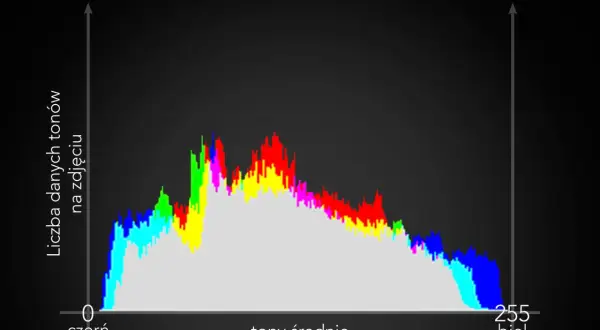 Histogram co to? Wykres pokazuje rozkład jasności tonów na zdjęciu, od czerni (0) do bieli (255).