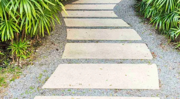 Viale carrabile in cemento serpeggia tra piante verdi lussureggianti, creando un percorso invitante.