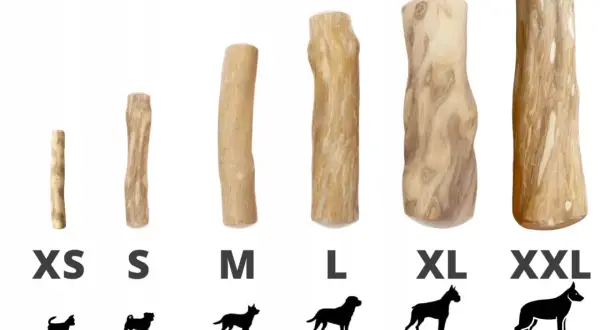 Naturalne patyki z drzewa kawowego dla psów, od XS do XXL. Idealne dla każdej rasy i wagi.