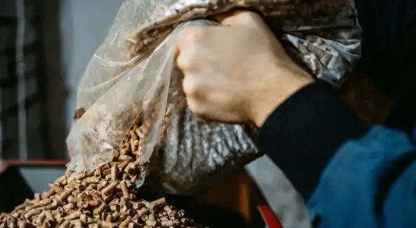 Ręka wsypuje pellet z worka. Zastanawiasz się, jaki pellet polecacie forum?