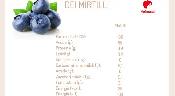 Composizione chimica dei mirtilli: 25 kcal per 100g. Dati nutrizionali completi.