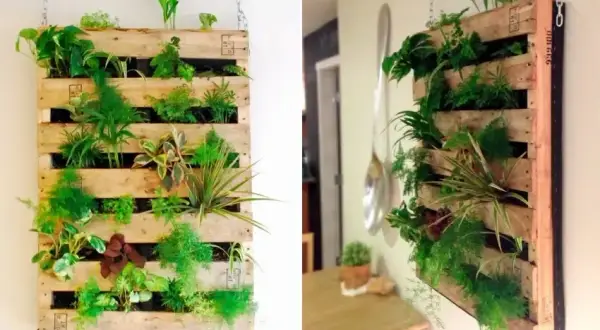 Zielona ściana DIY: Ogród wertykalny z palet i butelek poradnik