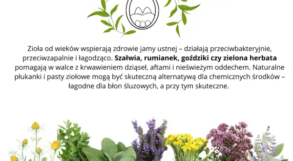 Szałwia czy rumianek na dziąsła? Które zioło ukoi ból i stan zapalny?