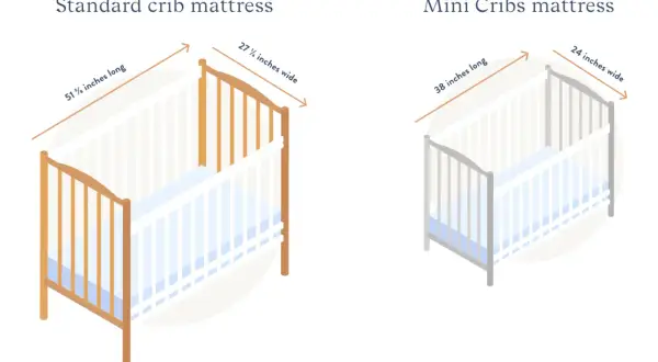 Standard crib mattress dimensions: 51.6" L x 27.25" W. Mini crib: 38" L x 24" W.