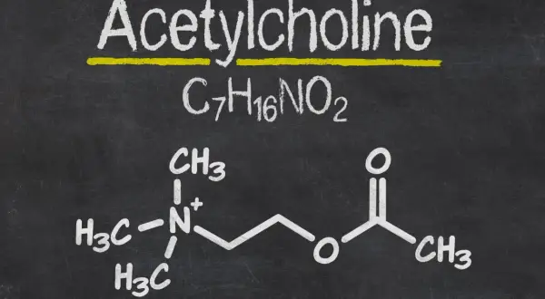 Struktura chemiczna acetylocholiny, kluczowego neuroprzekaźnika, narysowana kredą na tablicy.