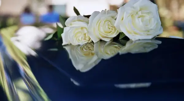 Jaki kolor róż na pogrzeb? Odkryj, co najlepiej wyraża żal
