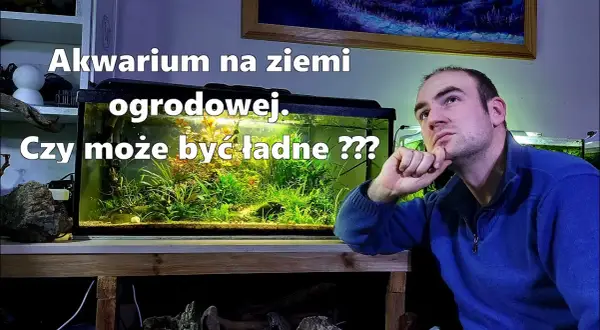 Jak założyć akwarium na ziemi ogrodowej bez zbędnych problemów