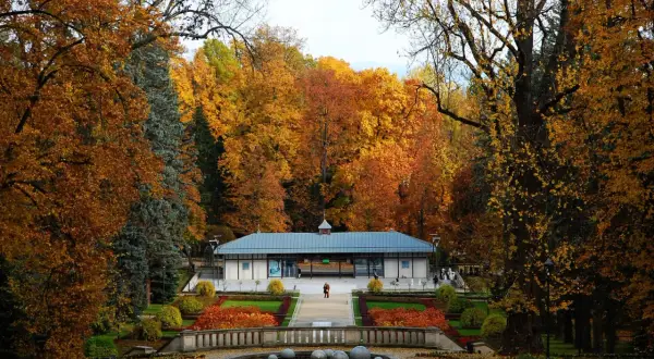 Jesienny park w Sosnowcu, z kolorowymi liśćmi i fontanną, to jedno z romantycznych miejsc na Śląsku.