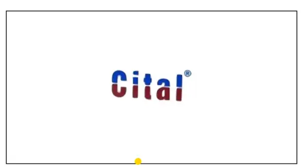Logo Cital, z literami w kolorze niebieskim i czerwonym.