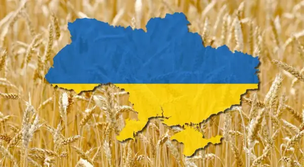 Carte de l'Ukraine aux couleurs du drapeau, superposée sur un champ de blé doré. L'image évoque la richesse agricole et la production de blé de l'Ukraine, un classement mondial important.