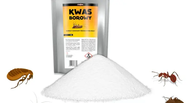 Kwas borowy na pluskwy, karaluchy, mrówki i rybiki. Skuteczny środek do zwalczania insektów.