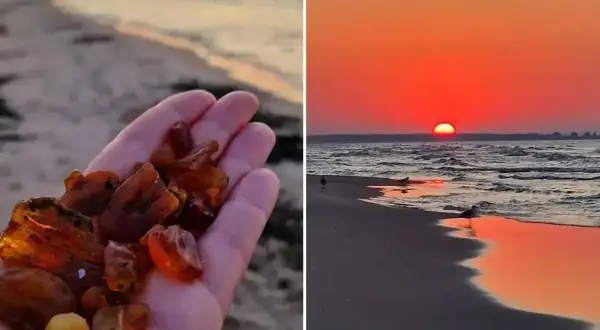 Dłoń trzymająca bursztyny, skarb znaleziony na plaży podczas zachodu słońca. Każdy przezroczysty kamień z morza lśni w ciepłym świetle.