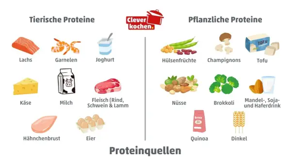 Lebensmittel mit viel Protein und wenig Kalorien: Lachs, Garnelen, Joghurt, Hülsenfrüchte, Tofu, Hähnchenbrust, Eier, Nüsse, Brokkoli, Mandeln, Soja- und Haferdrink.