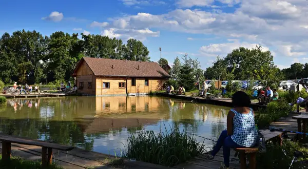 Ludzie łowią ryby na drewnianych pomostach przy drewnianym domku. To popularne łowiska komercyjne na Dolnym Śląsku.