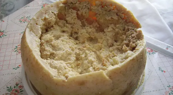 Ser z robakami, znany jako casu marzu, z widocznymi larwami.