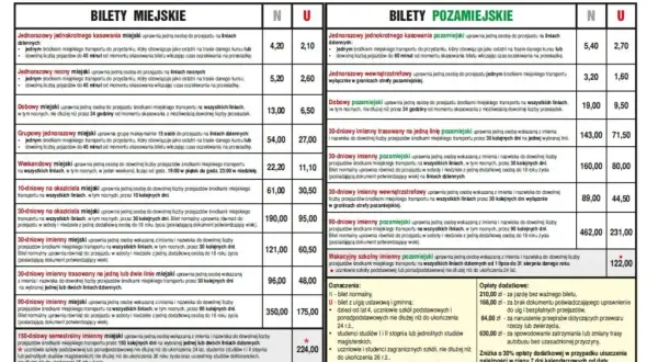 Jaki bilet dla psa w autobusie? Sprawdź zasady i ceny w miastach