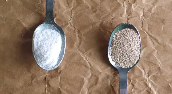 Deux cuillères sur fond de papier kraft : l'une avec de la poudre blanche (levure chimique), l'autre avec des granulés beiges (levure boulangère).