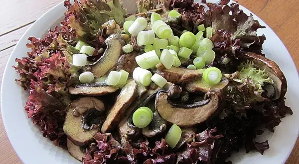 Lollo Rosso: Gesund, knackig & einfach zubereitet | Tipps & Rezepte