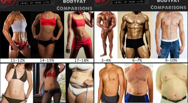 Jak sprawdzić body fat? Wizualne porównanie procentu tkanki tłuszczowej u kobiet i mężczyzn, od 3-4% do 34-35%.