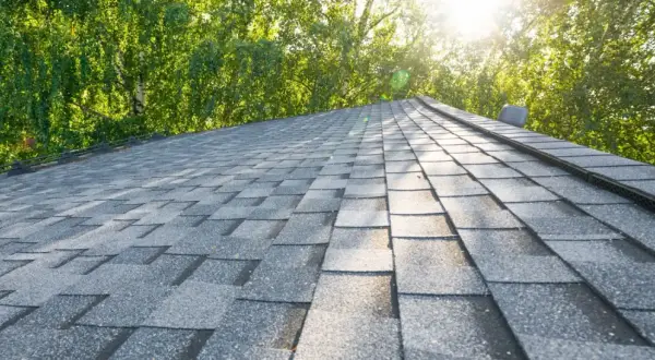 A close-up view of a grey asphalt shingle roof, showing the texture and pattern of the coating. Lush green trees are visible in the background, with sunlight filtering through the leaves.